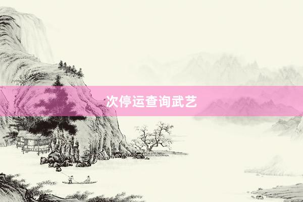 次停运查询武艺