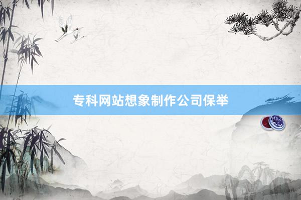 专科网站想象制作公司保举